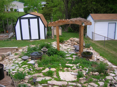 Pond area in daylight.