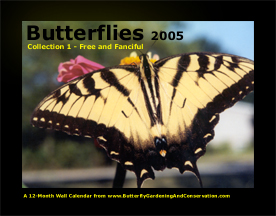 Butterfly Calendar 1 cover