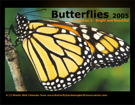 Butterfly Calendar 2 cover