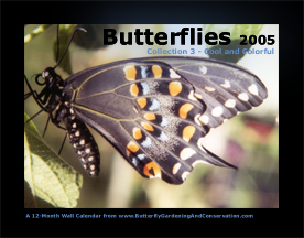 Butterfly Calendar 3 cover