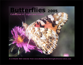 Butterfly Calendar 4 cover