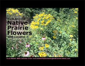 Prairie Flower Calendar 2 cover