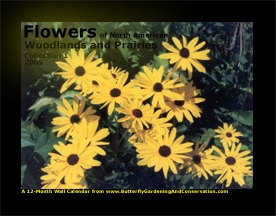 Prairie and Woodland Flowers Calendar 3 cover