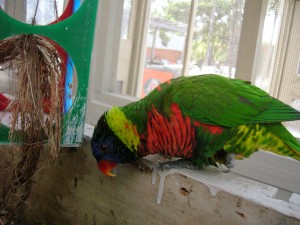 dscn3192