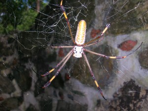 dscn3407