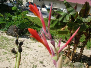 dscn3434