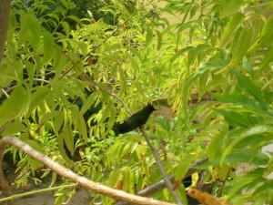 dscn3447