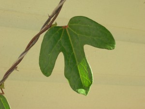 dscn3449