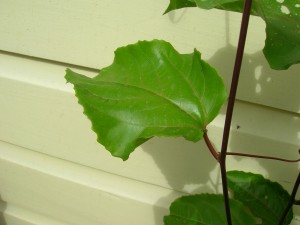 dscn3463