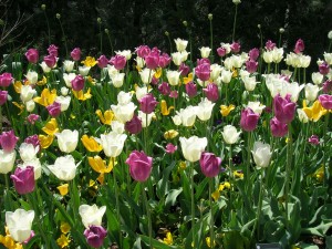 dscn3955