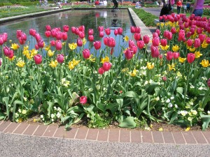 dscn3956